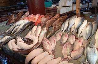تراجع كبير في أسعار الأسماك والجمبري اليوم السبت 27-4-2024